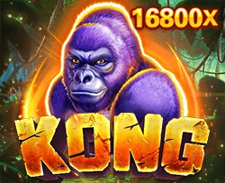 Kong - MOTO128