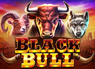 Pragmatic : Black Bull - MOTO128