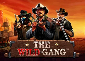 Pragmatic : The Wild Gang - MOTO128