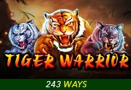 Tiger Warrior - MOTO128
