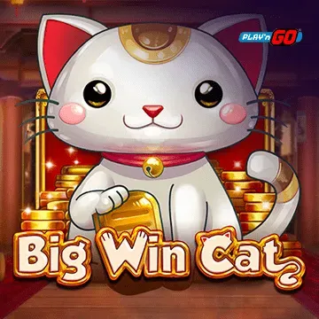 Big Win Cat - MOTO128